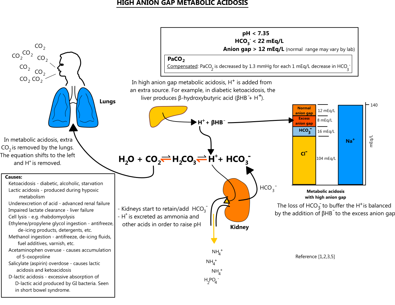 Illustration of RAAS inhibitors and diuretics