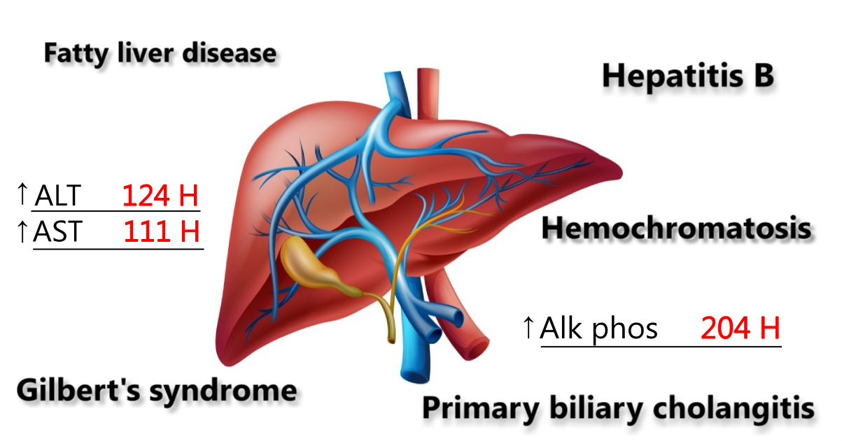 Liver Tests And Diseases